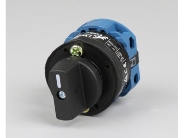 Hersteller von Nockenschaltern    seit 1981