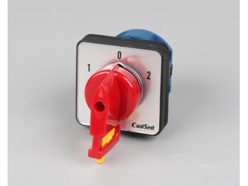 Hersteller von Nockenschaltern    seit 1981