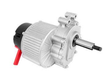 200W Antriebsmotor, bürstenloser DC Motor, PMDC Motor TF095CH