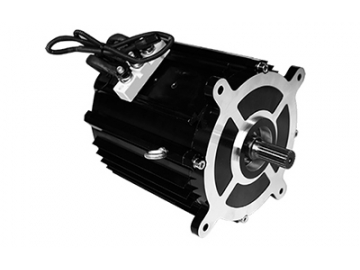 6000-11000W Traktionsmotor, bürstenloser DC Motor, PMDC Motor TZ210BX-T